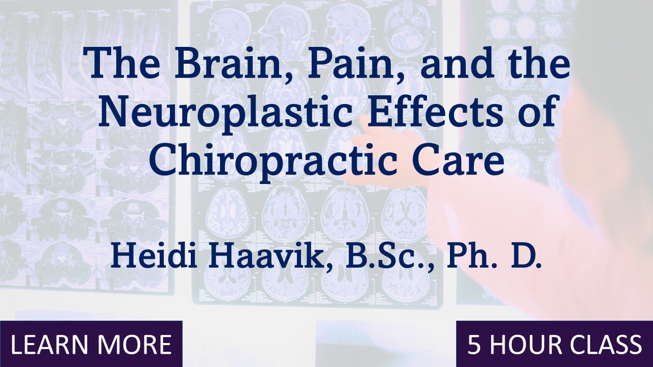 Palmer Online: The Brain, Pain, and the Neuroplastic Effects of Chiropractic Care 2023